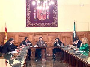Reunión del Comité Nacional