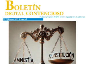 Boletín Contencioso 37 - Febrero 2025